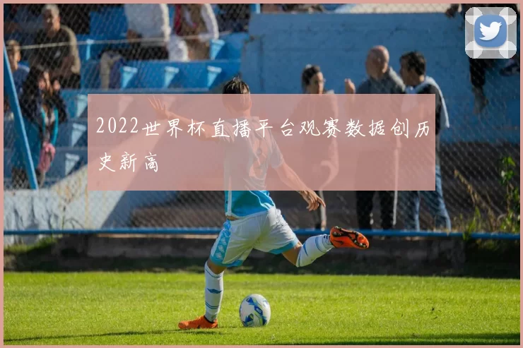 2022世界杯直播平台观赛数据创历史新高