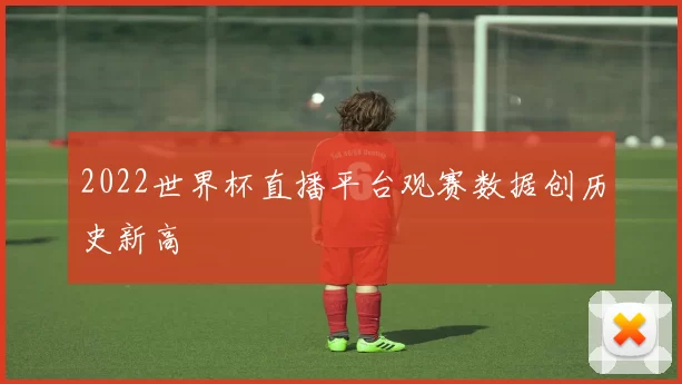 2022世界杯直播平台观赛数据创历史新高