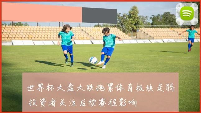世界杯大盘大跌拖累体育板块走弱 投资者关注后续赛程影响