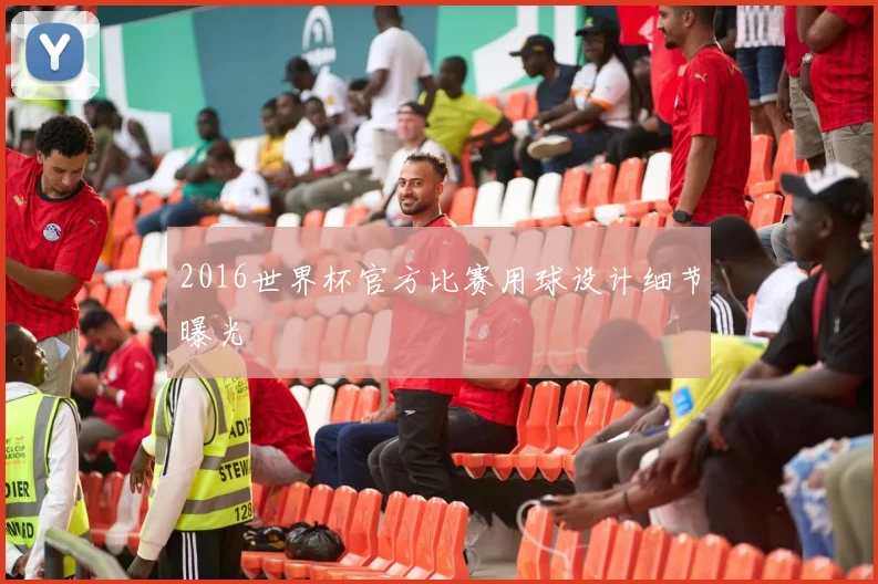 2016世界杯官方比赛用球设计细节曝光